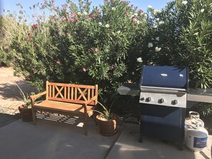 Gas fired bbq when you need something quick and easy to grill