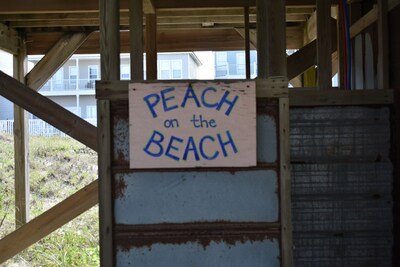 Peach on the Beach - 3BR/2 BA - Fort Morgan - Pet Friendly