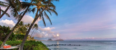 Oceanside Yard with Moonrise