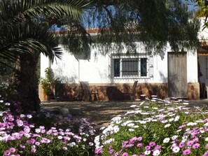 Outside of The Orange Grove Apartment at Finca Arboleda.