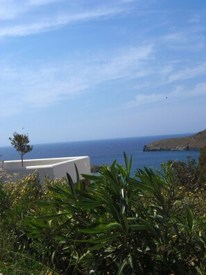 Beach/ocean view