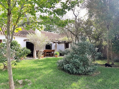 Country house on laid-back finca with pool, near to Vejer, beaches & restaurants