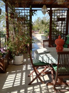 FLOWER HOUSE. PENTHOUSE WITH PANORAMIC LEVEL TERRACE