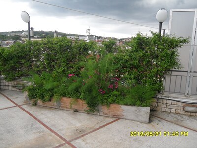 FLOWER HOUSE. PENTHOUSE WITH PANORAMIC LEVEL TERRACE