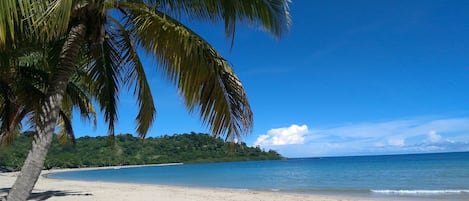 Photos plage andilana à 2 mn des bungalows 