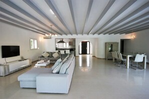 Lounge area with large couches and dining area