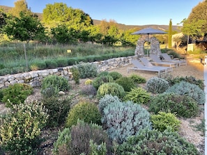 Swimming pool bordered with Provençal garden