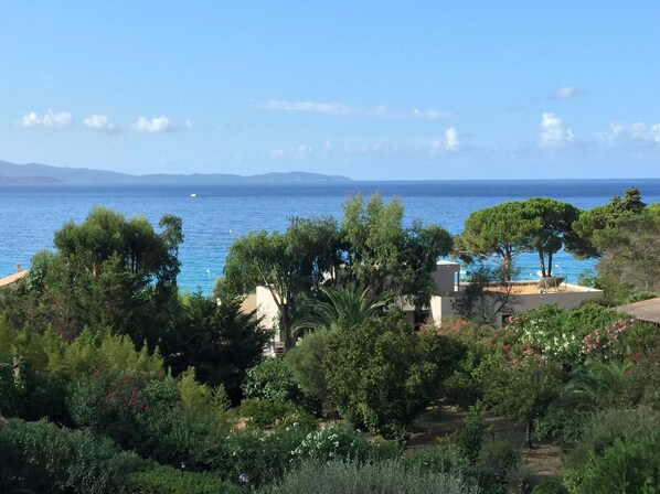 Beach/ocean view