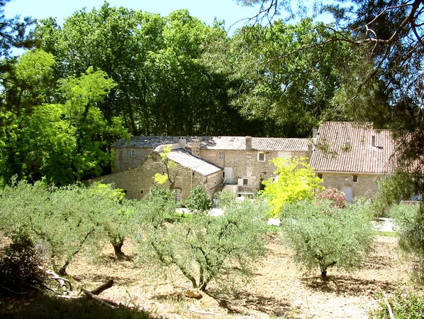 Jardines del alojamiento