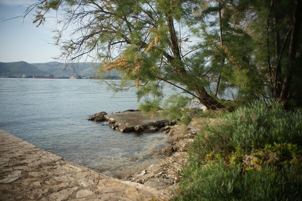 our beachfront 