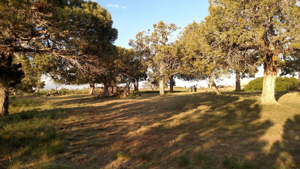 Rustic Country Homestead located in beautiful Dolores, CO **air conditioned**