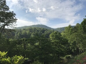 The View