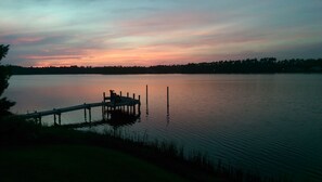 Back yard view