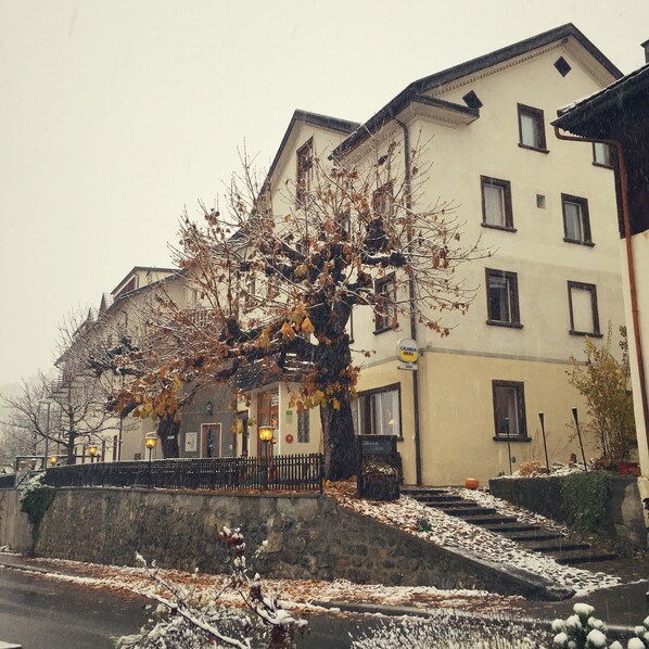 Exteriör