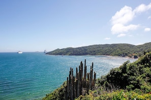 Beach,Sea view