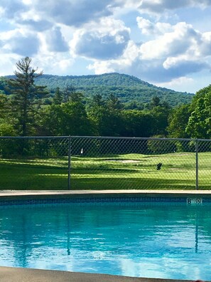 Condo pool 
