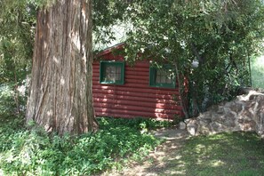 Tucked away behind Giant Redwood