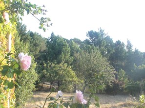 Boendeområde