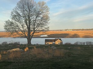 Boathouse with 6 kayaks and 1 canoe