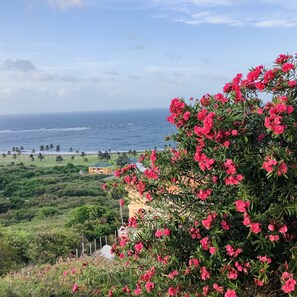 The view outside the entry door 