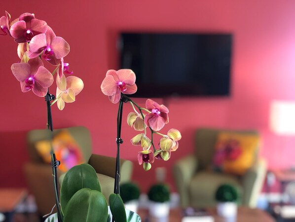 Fresh flowers in the comfortable, modern living room.