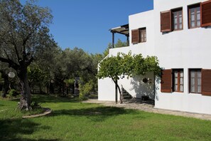 Main view