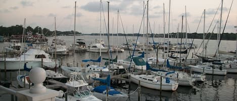 Boats at Marina