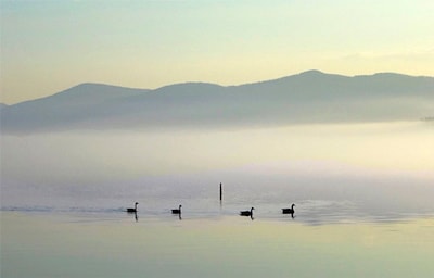 Lake George  Water Front Cabin Spectacular Views 