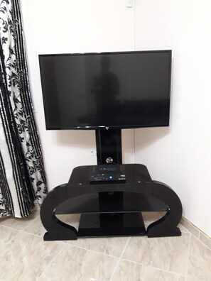 Television