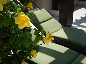 Relax
