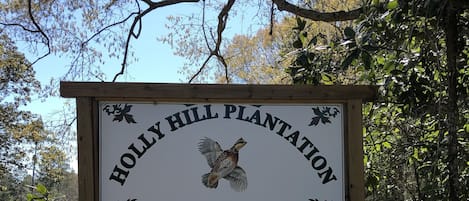 Welcome to Holly Hill Plantation 