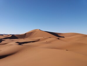 Beautiful sand dunes erg Zahra 