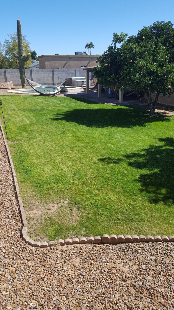 Property grounds