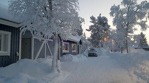 Exteriör