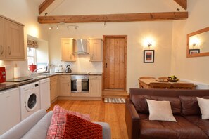 Kitchen/Lounge/ Dining area