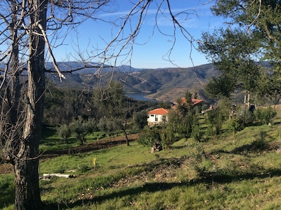 Olive Meadow Cottage - con espléndidas vistas 