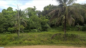 Terrain de l’hébergement 