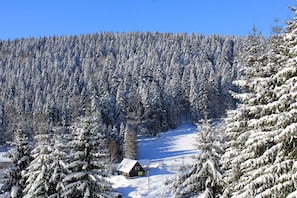 Skidåkning och snöaktiviteter