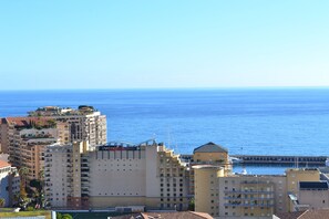 Beach/ocean view