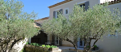 Le Gîte Bastide et son jardin clos de murs et arboré d'olivier