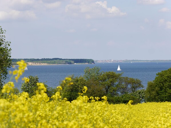 Flensburger Förde