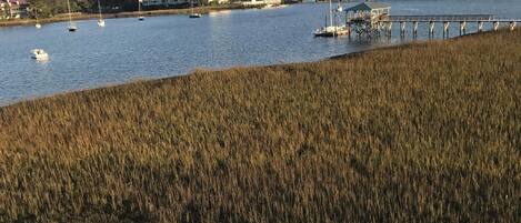 Folly River View