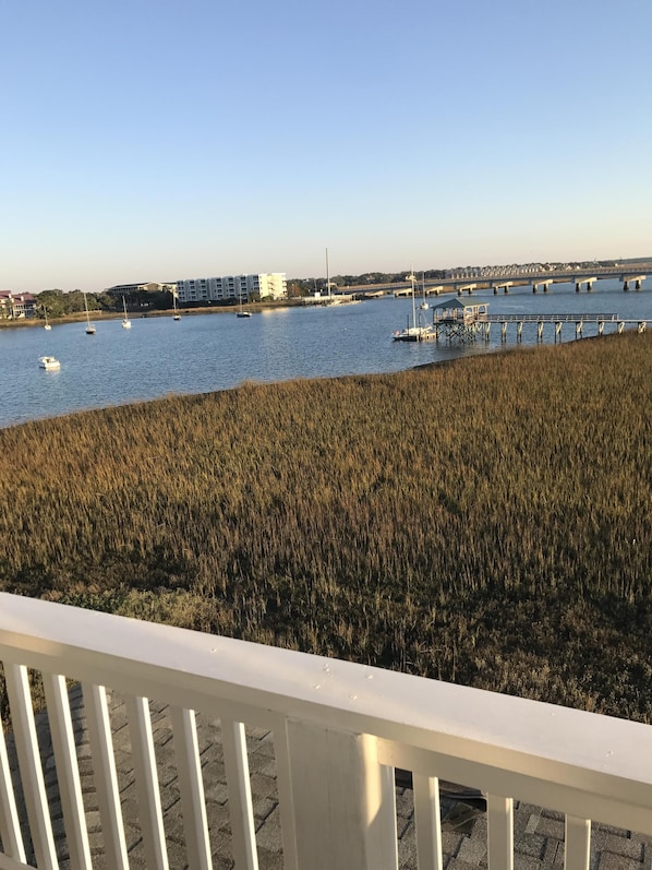 Folly River View