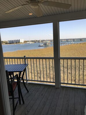 Screened in porch off living room