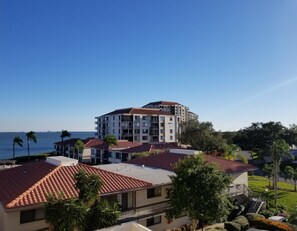 Tampa Bay Balcony view - south