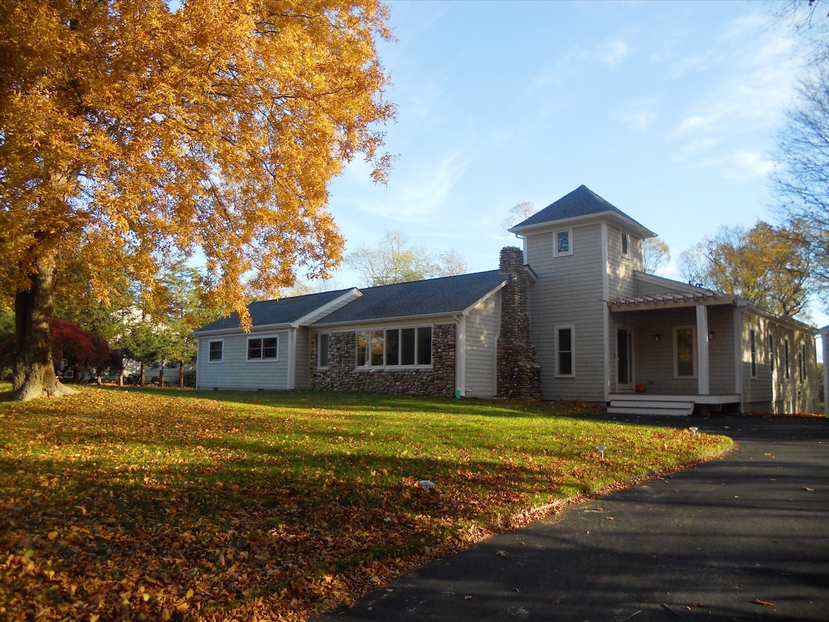 Main Image