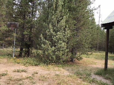 Grandmas hidaway in the woods  WiFi  30 miles from Yellowstone 