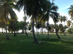 Property grounds