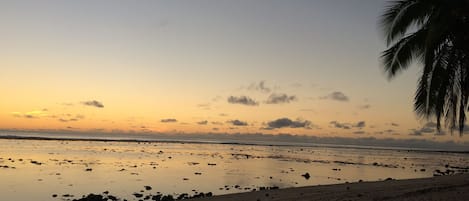 sea view at low tide