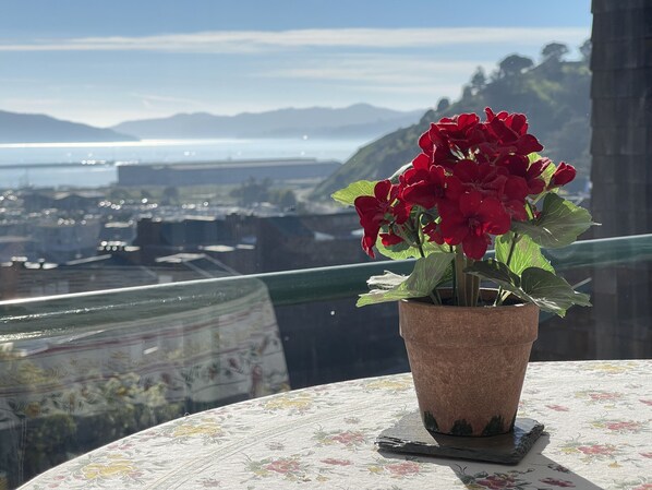 View from property